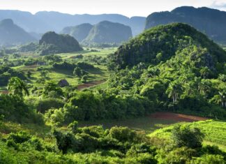 Excursión al Valle de Viñales desde La Habana de un día, visita imprescindible en Cuba
