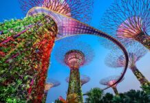 Gardens by the Bay en Singapur