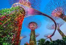 Guía para visitar Gardens by the Bay en Singapur: entradas, horarios y consejos Gardens by the Bay en Singapur