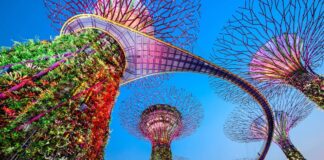 Guía para visitar Gardens by the Bay en Singapur: entradas, horarios y consejos Gardens by the Bay en Singapur