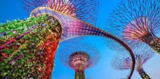 Guía para visitar Gardens by the Bay en Singapur: entradas, horarios y consejos Gardens by the Bay en Singapur