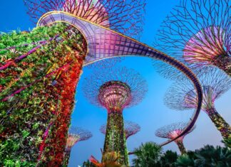 Guía para visitar Gardens by the Bay en Singapur: entradas, horarios y consejos Gardens by the Bay en Singapur