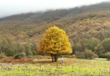 Ruta por Extremadura descubriendo su naturaleza