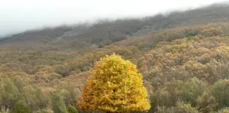 Ruta por Extremadura descubriendo sus joyas naturales ocultas Ruta por Extremadura descubriendo su naturaleza