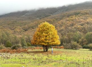 Ruta por Extremadura descubriendo su naturaleza