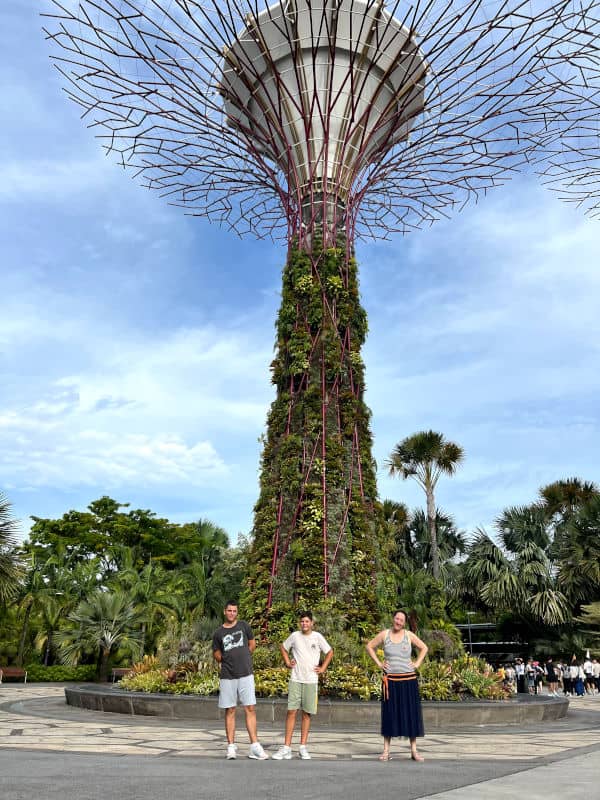 Bajo los árboles gigantes del Gardens by the Bay de Singapur