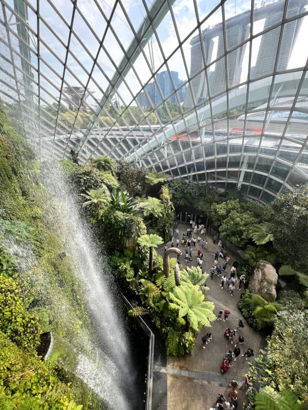 Dentro del Cloud Forest en los Gardens by the Bay de Singapur