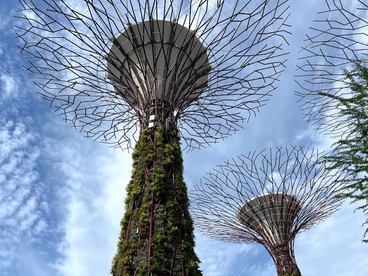 El Gardens by the Bay parece de otro mundo