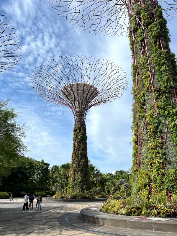 Los árboles del Supertree Grove del Gardens By the Bay