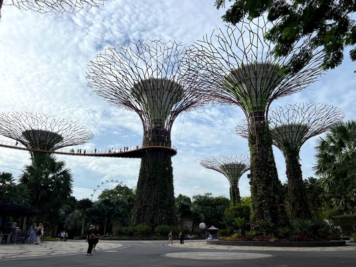 Los árboles gigantes del Gardens by the Bay de Singapur