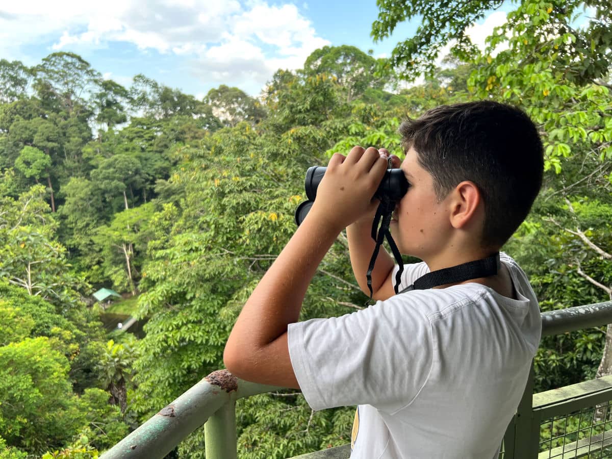 Observando fauna salvaje en Borneo, Malasia