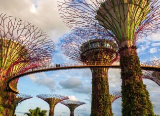 Sitios que visitar en Singapur