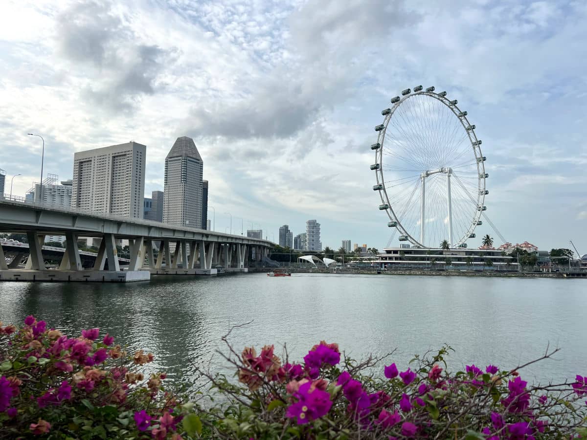 Singapore Flyer, la famosa noria de Singapur