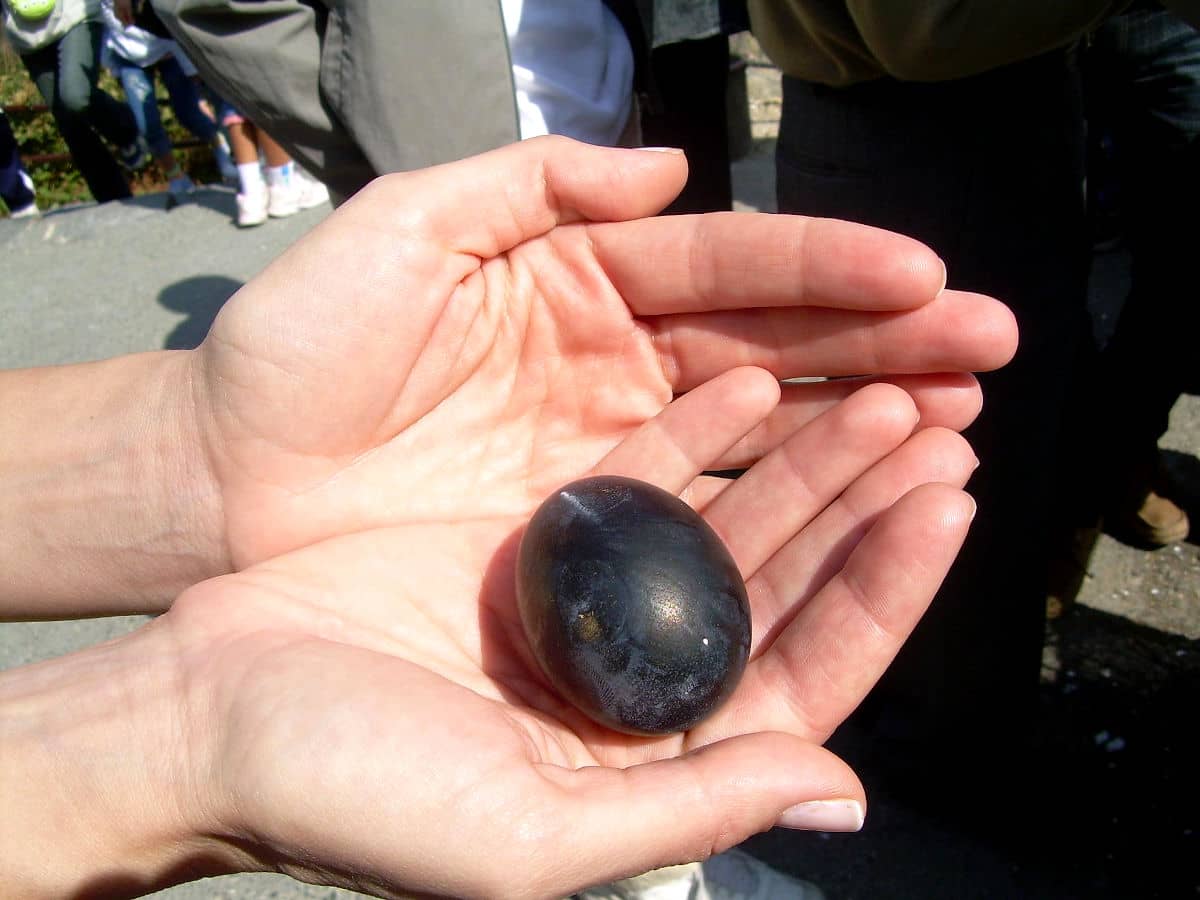 Los famosos huevos negros de Owakudani en Hakone