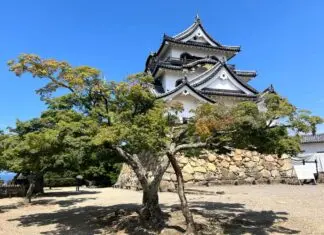 Qué ver en Hikone, además de su espectacular castillo
