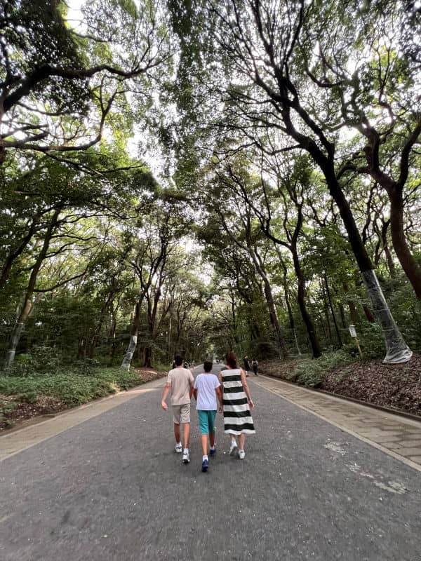 Caminando por el bosque del santuario Meiji de Tokio
