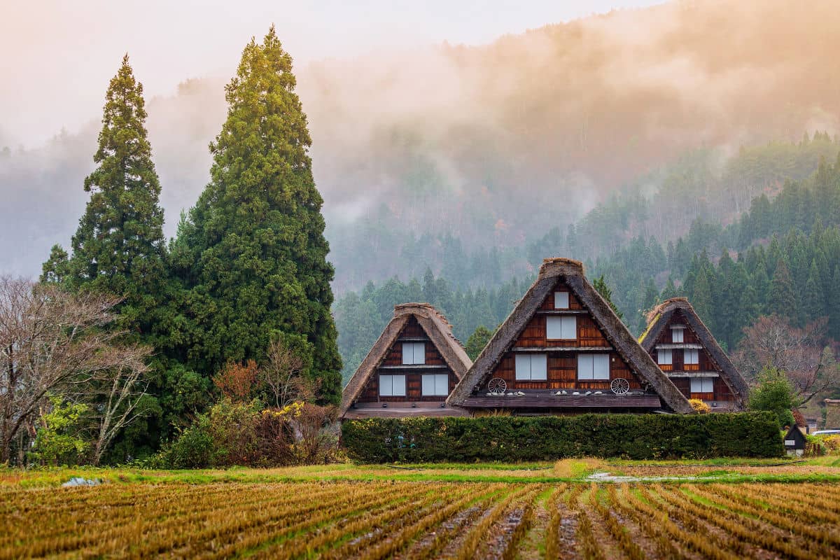 Casas de la aldea de Ogimachi en Shirakawa-go
