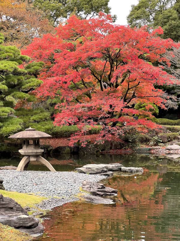 Linternas de piedra en los jardines del Palacio Imperial de Tokio