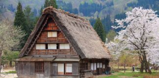 Guía para visitar Shirakawa-go