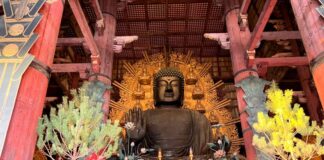 Visita al Templo Todai-ji de Nara