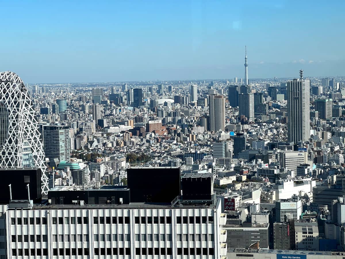 Vistas desde el mirador del Ayuntamiento de Tokio