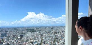Vistas de Tokio desde la Carrot Tower