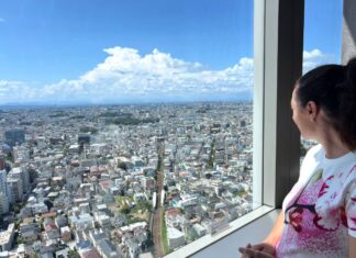 Qué ver en Tokio: barrios y visitas clave Vistas de Tokio desde la Carrot Tower