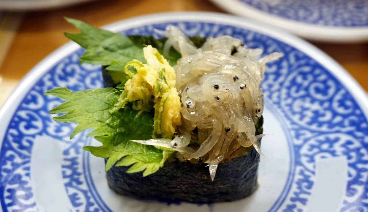 Sushi de Shirasu en Kamakura