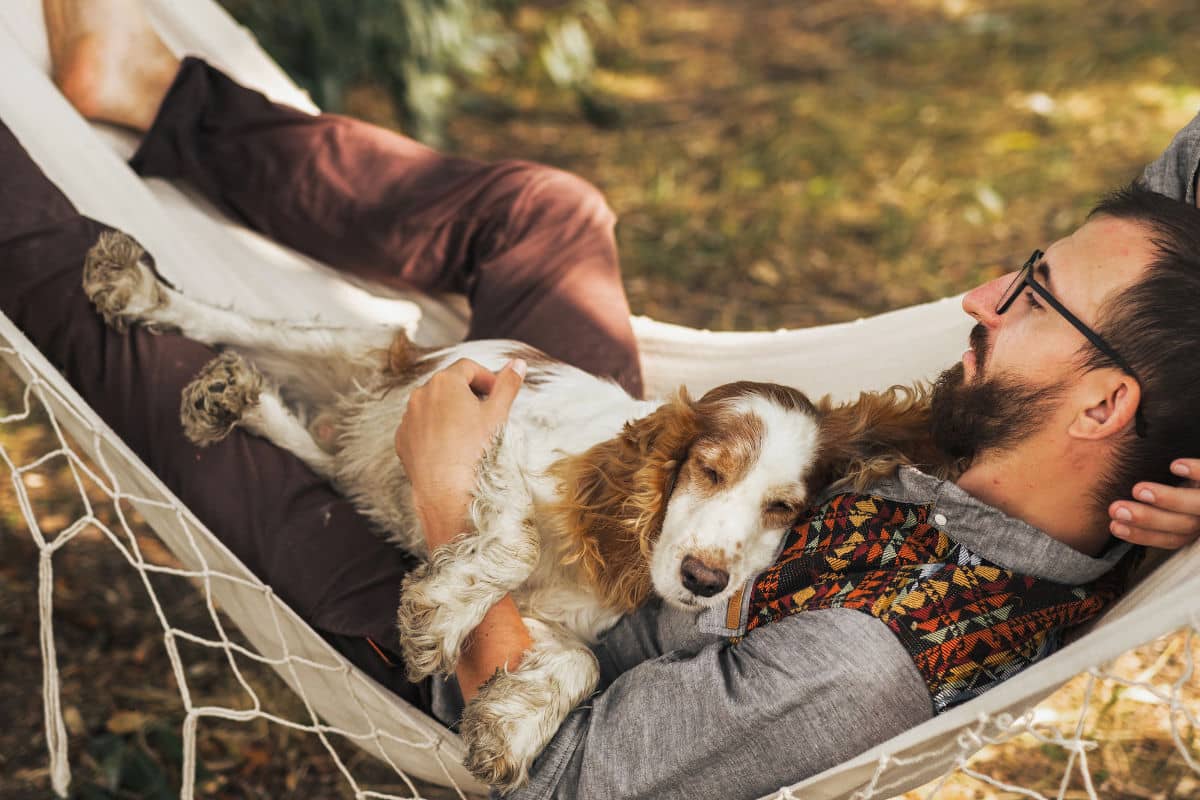 Todo lo que debe tener un camping pet-friendly