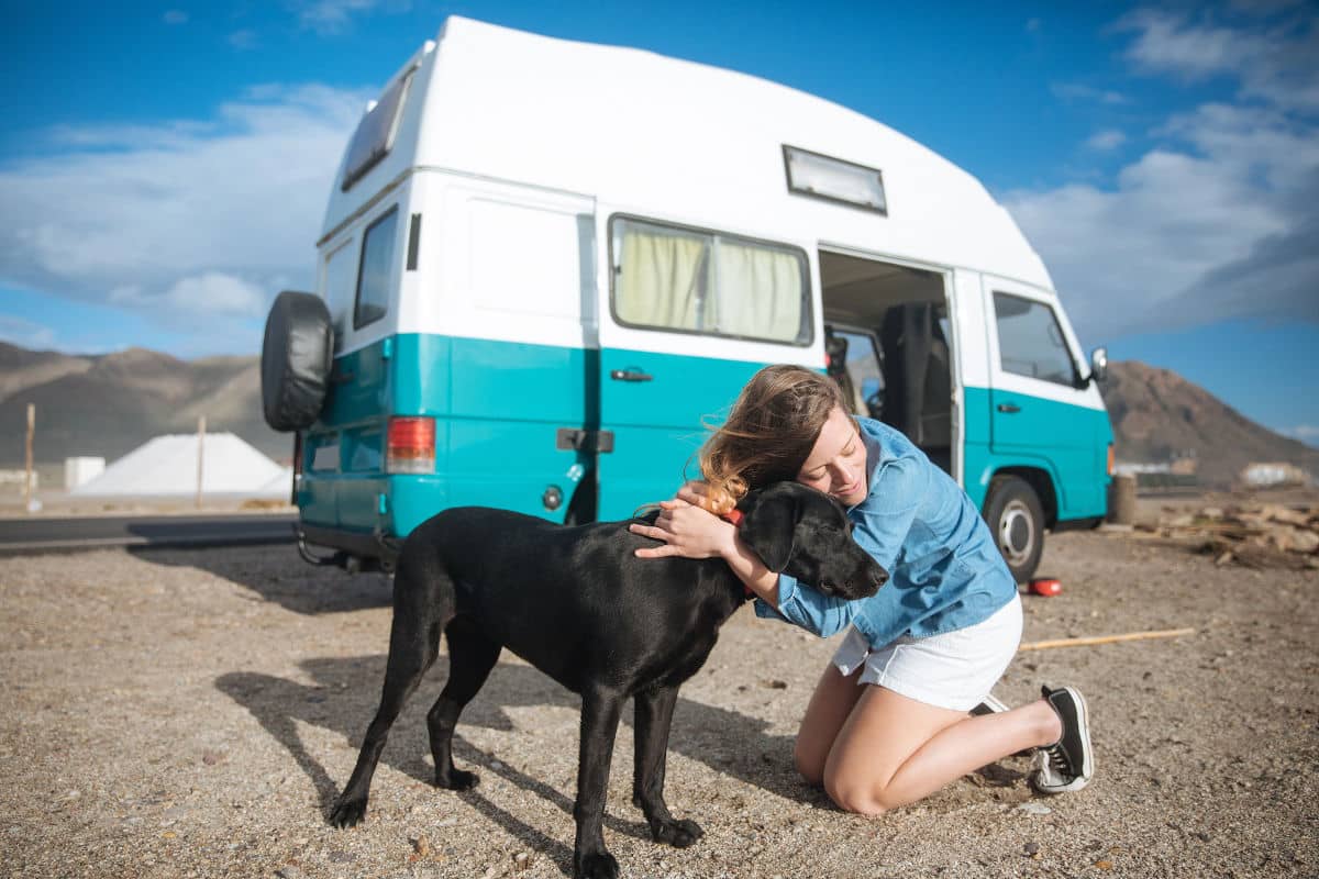 Un camping que admita mascotas, es un camping perfecto