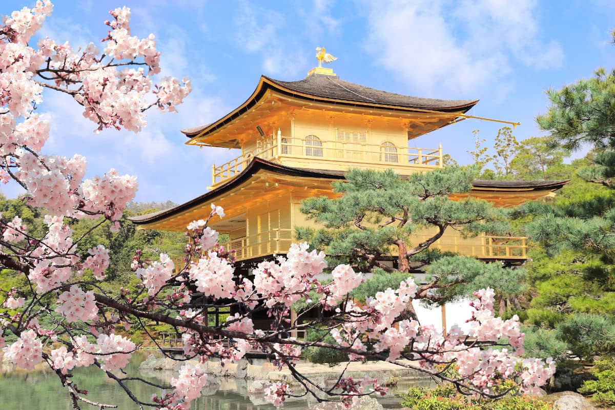 El Pabellón Dorado de Kioto durante el sakura