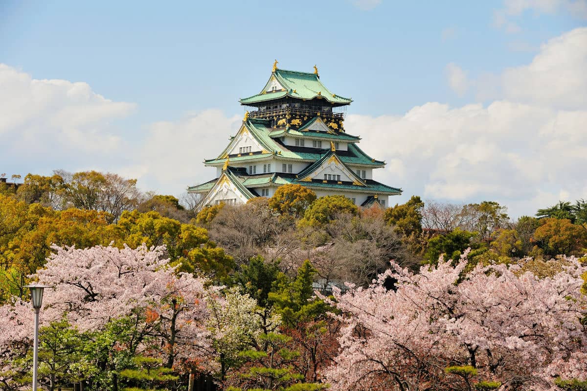 Los cerezos en flor envolviendo el Castillo de Osaka