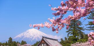 Mejores lugares donde ver el sakura en Japón