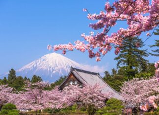 Los 10 mejores sitios de Japón donde ver el sakura o la flor de cerezo Mejores lugares donde ver el sakura en Japón