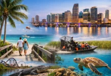 Qué hacer en Florida: planes por zonas