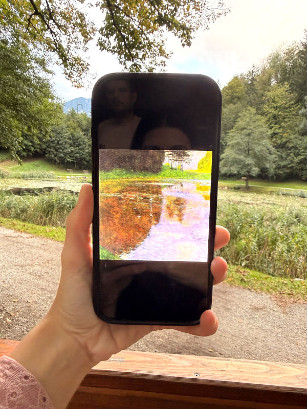 Una mañana junto al estanque de Klimt en el lago Egelsee
