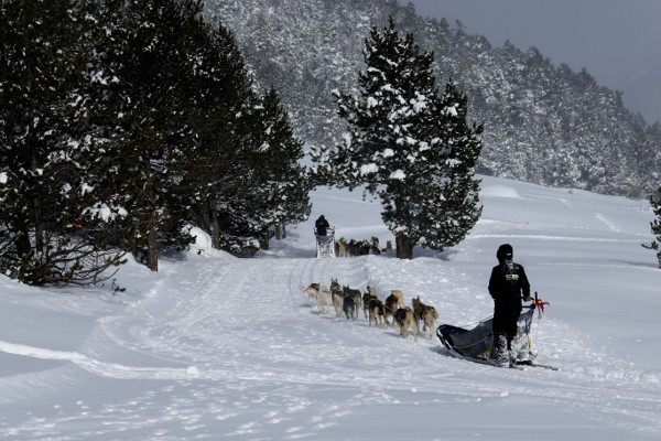 Fotos de Andorra, trineos de perros