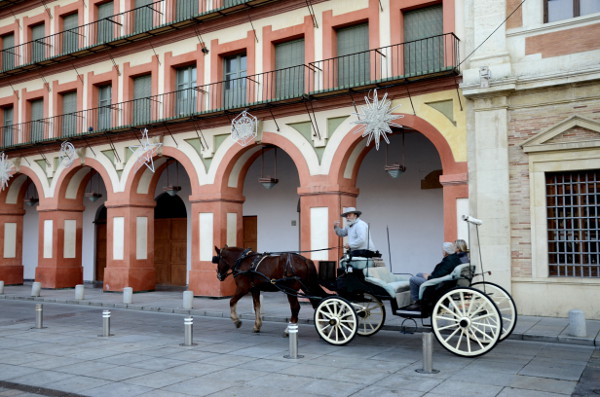 Fotos de Córdoba, coche de caballos en la plaza de la Corredera