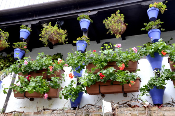 Fotos de Córdoba, patio cordobes