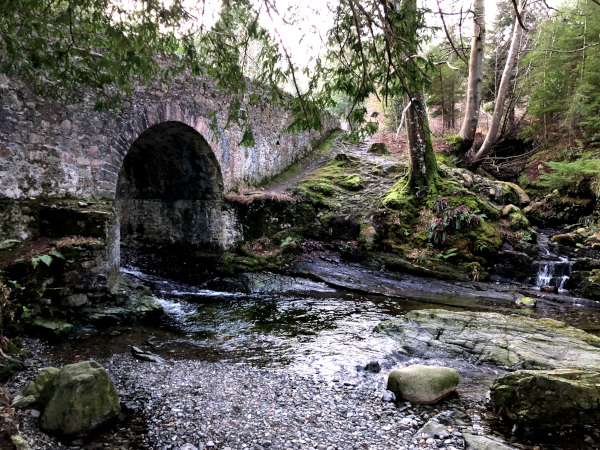 Fotos de Irlanda del Norte, Parque Forestal de Tollymore