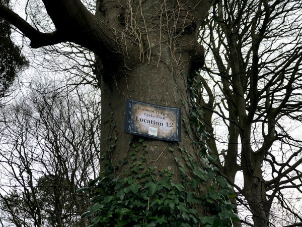 Fotos de Irlanda del Norte, camino castillo de Audley