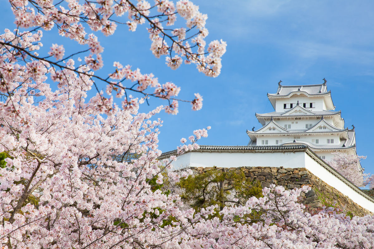 Fotos del Castillo de Himeji en Japón con cerezos en flor