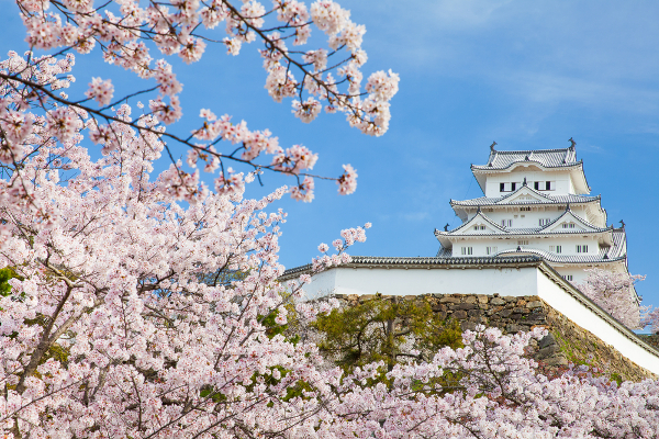Fotos del Castillo de Himeji en Japón con los cerezos en flor